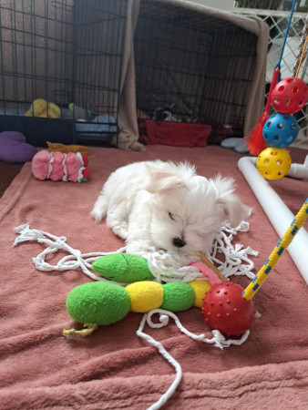 13-9-25 13.41 uur Giana 